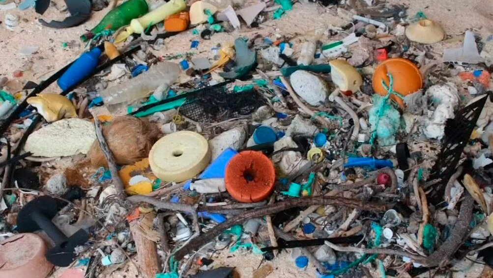 som3cat's tweet photo. Com puc reduir la contaminació per plàstics?
👉 https://t.co/CNd6X9JphV

#DiaMundialdelMediAmbient #SenseContaminacióPerPlàstics #WorldEnvironmentDay #BeatPlasticPollution https://t.co/EKpIKOVqbh