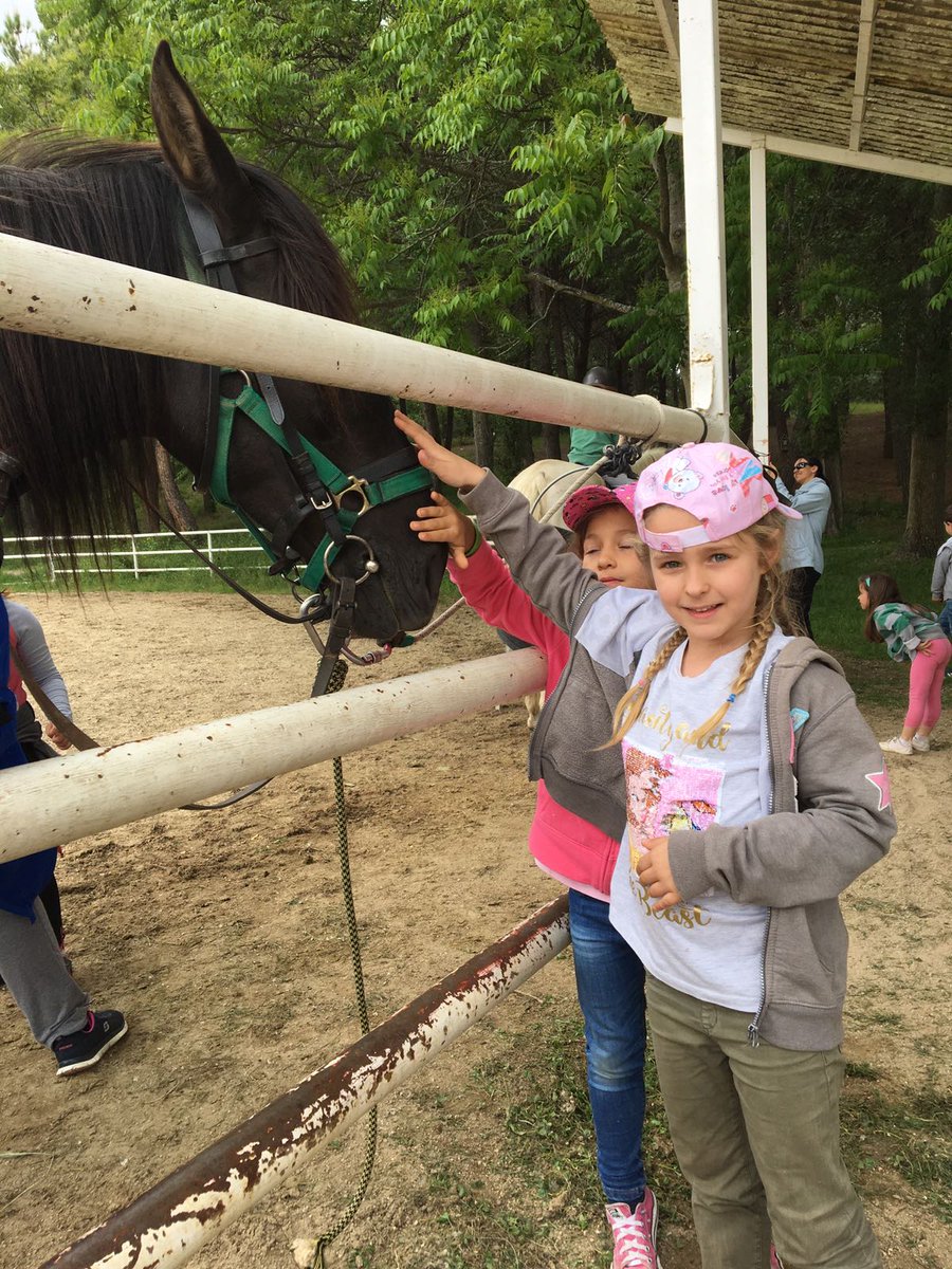 Mirabal_Infant's tweet photo. Más fotos I5. @ColegioMirabal https://t.co/DBKb5PWvzk