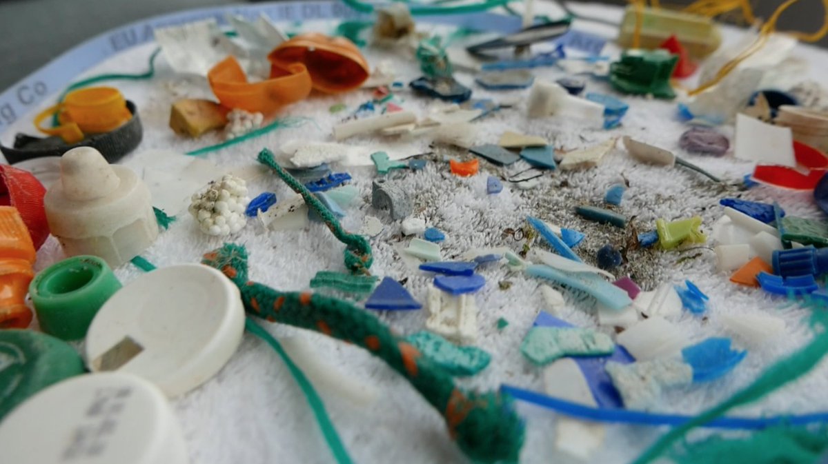 Ness_Knight's tweet photo. Went for a SUP on a remote beach in Scotland &amp; when I looked closer the reality of 300 million tons of plastic in our oceans hit home. This was what a quick sweep of a few of meters produced. It’s no longer just about reuse &amp; recycling but also about redesign #worldenvironmentday https://t.co/cLFQ6CWa8b