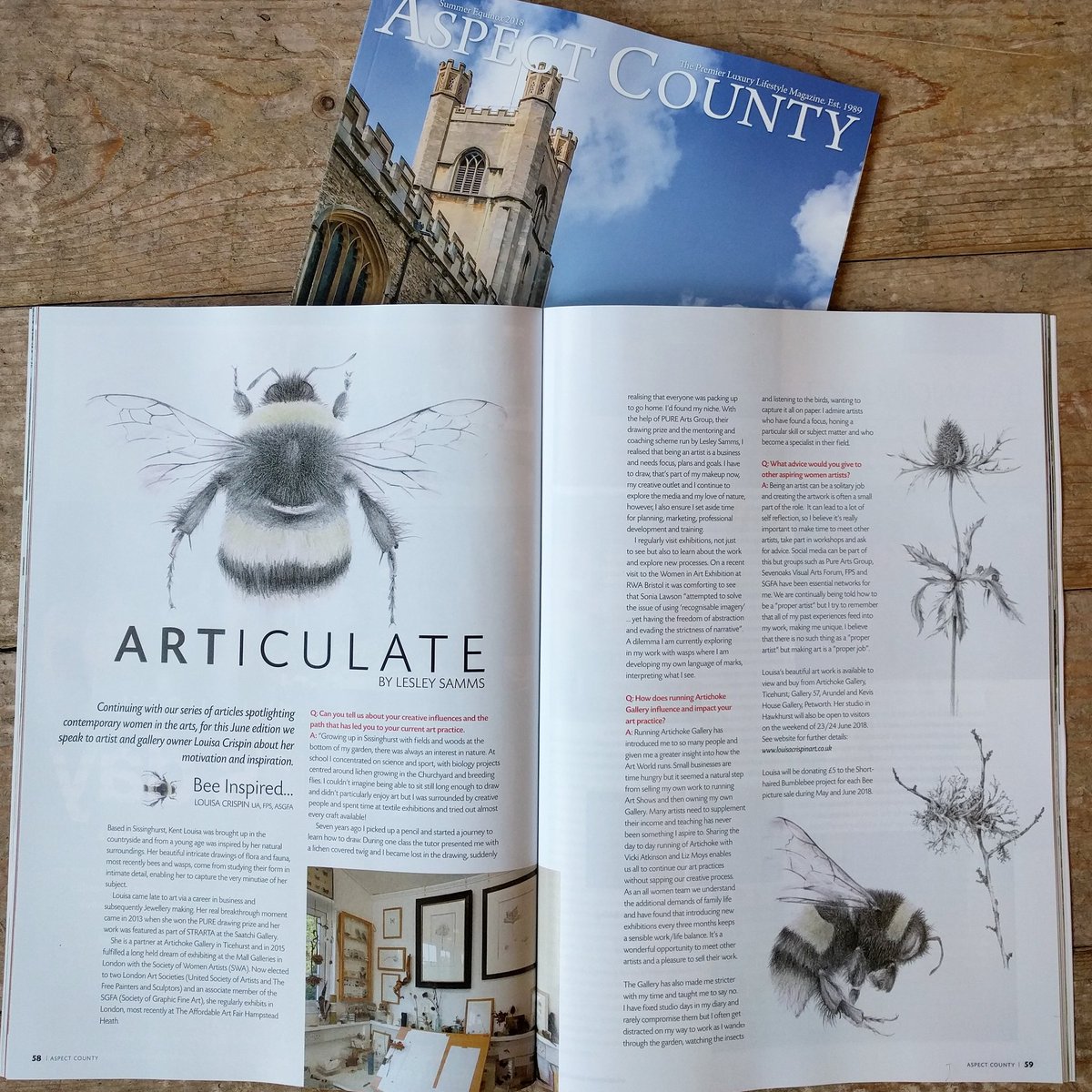 Louisa_Crispin's tweet photo. Thrilled to read about myself in @aspectcounty this month ☺️
Thank you Lesley 💕
.
https://t.co/TC9VVJ3duN
.
#bees #botanicalart #openstudio #articulate #lesleysamms https://t.co/KlnYRqvP9z