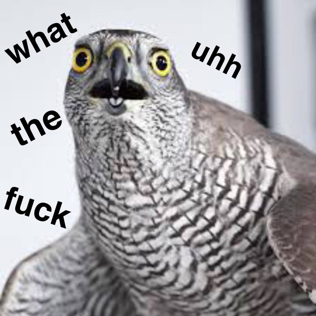 emma_bensonx's tweet photo. me when H is for Hawk came up #edexcelenglish #igcseenglish #GCSEs2018 #gcseenglish https://t.co/SEGsZwWfeK