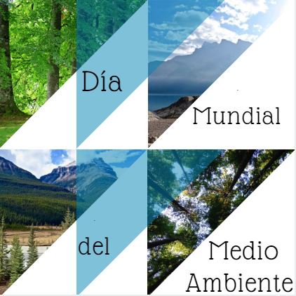 Alveco_online's tweet photo. ¡Por un mundo mas sostenible y habitable, hoy y todos los días!

¡Feliz día mundial del medio ambiente! 🍁🌿🌍🍀🌺

#5dejunio #DiaMundialDelMedioAmbiente #WorldEnvironmentDay #June5th #recamania #medioambiente #cuidado #nocontaminacion 

🌳🌳🌳🌳🌳🌳🌳🌳🌳🌳🌳🌳 https://t.co/yB4ltVec0w