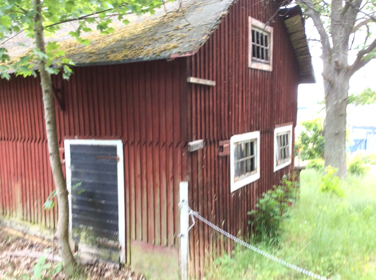 Elevens val F-3 <a href="/Runbacka/">Runbacka skolor</a>. Här 47 stycken förväntansfulla elever på skogsäventyr. 🌲🌻🏫☀️ #solskol #friluftsdag #elevensval #mittsollentuna #Runbacka