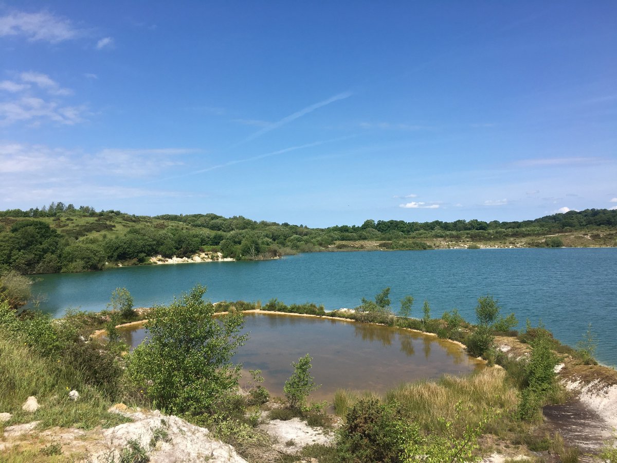 InsureMyProject's tweet image. Happy #DevonDay - we are loving the pictures and feeling very lucky to live in such a beautiful part of the Country. @DevonWildlife #meethquarry #Devon