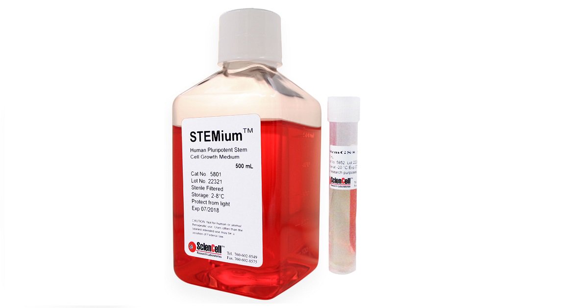 Sanbio Bv On Twitter Sciencell Stemium Products Are Developed