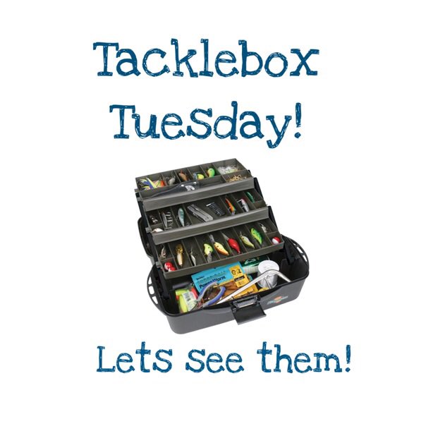 DarynDalton's tweet photo. Let’s see what you got?
#tackleboxtuesday
#fishinggear
#fishing https://t.co/Dvb4EdaV0Z