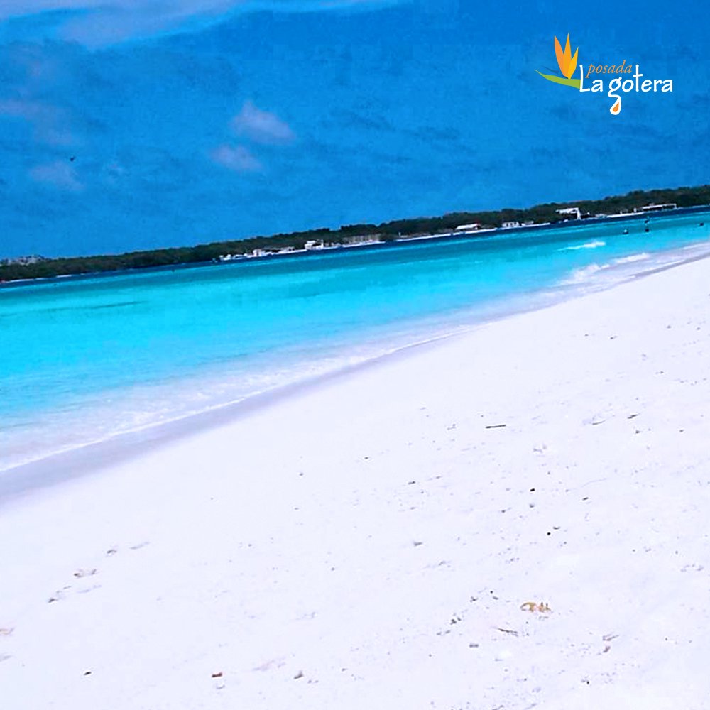 posadalagotera's tweet photo. Arena blanca, aguas cristalinas, buena música y mucha relajación definen un fin de semana en este lindo cayo.

Información y Reservas:
Teléfonos:
+58 424 190 6257
+58 424 153 3069
+58 212 428 9388
Email: info@posadalagotera.com.ve https://t.co/eQXLizO629