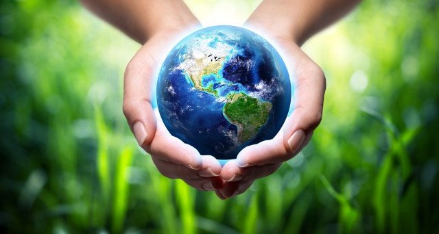 Nowastenet's tweet photo. 46° Giornata mondiale dell'Ambiente - https://t.co/eU0KeNdnnH https://t.co/HE5fovEhWJ