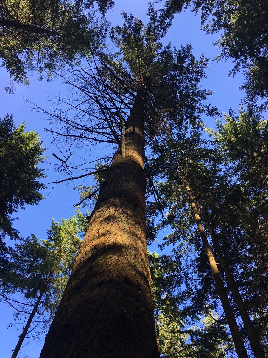 NickDunbar tweet media