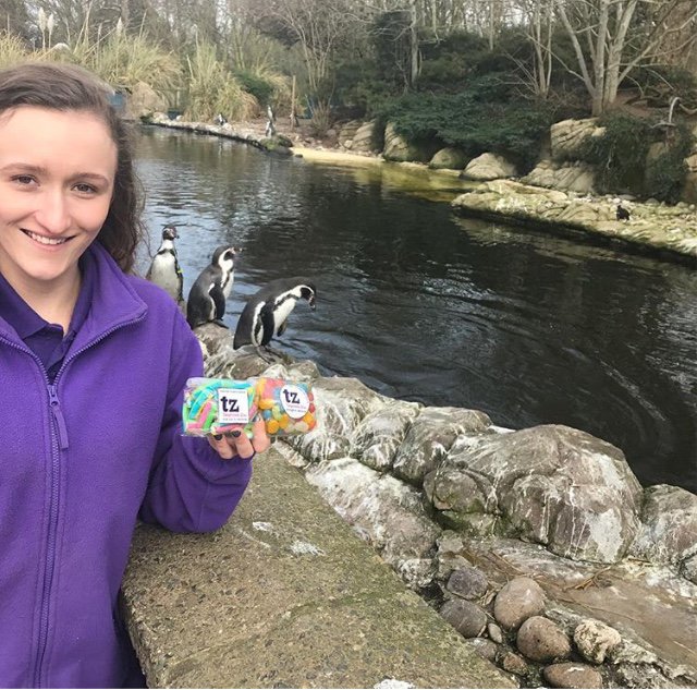 TwycrossZoo's tweet photo. We're very proud to be fighting the war on single-use plastics with @CalicoCottageUK! 🍬
 Read more here > https://t.co/V14DMQFg46 #WorldEnvironmentDay #BeatPlasticPollution https://t.co/uI4hMEnktQ