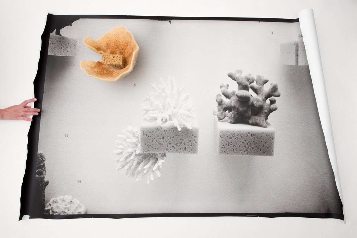 Very happy and proud to announce that <a href="/Tenderpixel/">Tenderpixel</a> now represents <a href="/petraferiancova/">petra feriancova</a> > visit current show till 30 Jun.