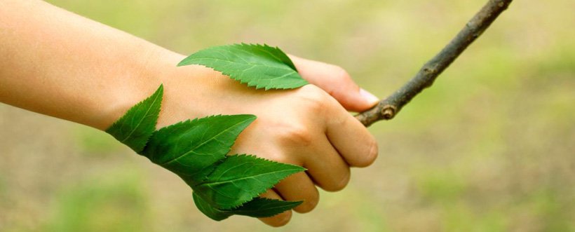 CulturalesCEU's tweet photo. ¡Hoy es el Día Mundial del Medio Ambiente! El Ayuntamiento de Madrid ha preparado un montón de actividades: talleres, mercadillos, conferencias y mucho más.

No te lo pierdas 👇
https://t.co/hsaldaDwN0

#DiaMundialDelMedioAmbiente https://t.co/b4jywzrC0g