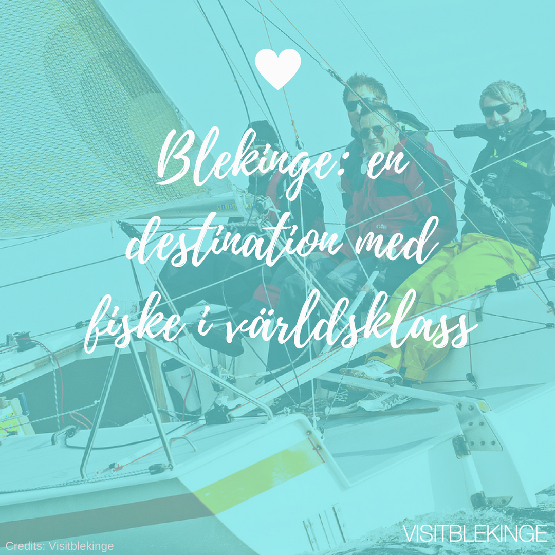 arrivalguides's tweet photo. Blekinges vilda natur består både av skog och sjöar, eller en skärgård som erbjuder allt du behöver när det är fiske i sinnet.  😍🐟🛳️ 
Credits: Visitblekinge https://t.co/SjFtZqqcwP