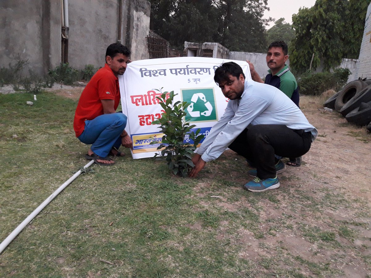 tawigass's tweet photo. Tree Plantation done by tawi gas JAMMU on the occasions  of world environment day https://t.co/YOqcpmVscd