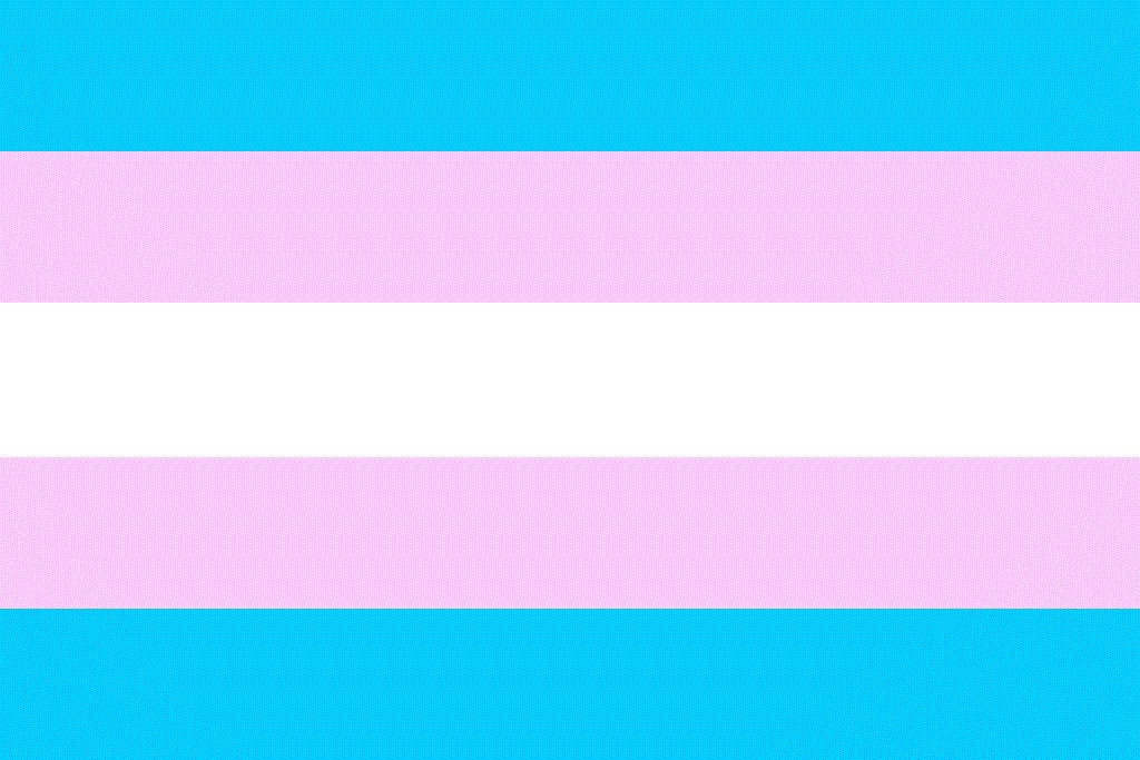 RelentlessCorp's tweet image. June 3rd is for all of you Beautiful people who take initiative and dress who you feel you are.
Happy Transgender Day!