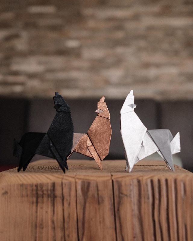 FlorigamiTweets's tweet photo. A pack of wolves at your home ? / Une meute de loups chez vous ? #florigami #animal #origami #stark #gameofthrones https://t.co/4tFJ27vbzq https://t.co/U5qy9Q7XOm