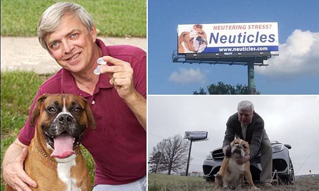 KipAndTwiggys's tweet photo. Love a good success story! The man who became a millionaire by inventing... fake dog testicles https://t.co/o9os5e5cMn #dogs #dogsoftwitter https://t.co/fo7potimfK