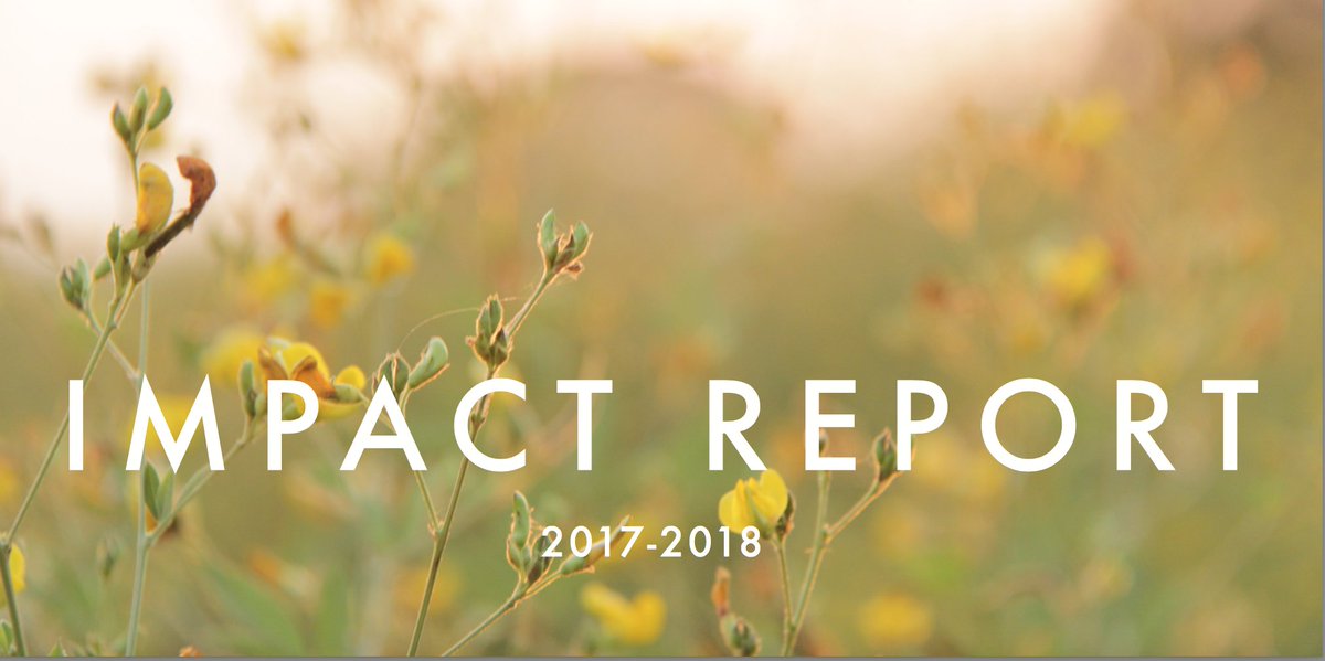 BCorpCommunity's tweet photo. Award-winning #Kiwi #BCorp makes its biggest #impact yet: @lyb_uniforms is alleviating poverty &amp; saving the #environment 1 garment at a time, providing 20,000 hours of #fairtrade #labour &amp; saving 12.2M litres of #water in the past year https://t.co/ijxammq4oc #WorldEnvironmentDay https://t.co/gscxY1l4nd