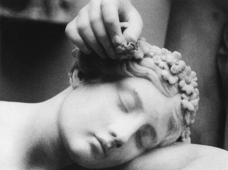 Artemisia12_'s tweet image. Delicatezze~