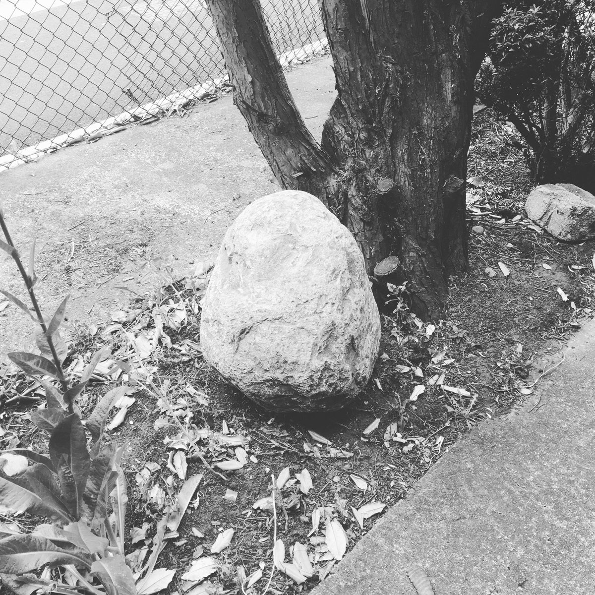 #deinstall @g39cardiff so many #thankyou’s to all involved #yourock #indiawales <a href="/WAICymruWales/">WAI Cymru Wales</a> <a href="/BCouncil_Wales/">British Council Wales</a>