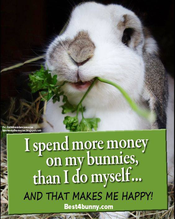 Best4bunny's tweet photo. Can you say the same? https://t.co/NoJXroAttb