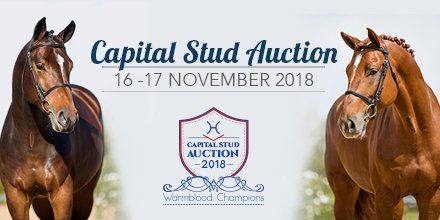 CapitalStud's tweet photo. The Capital Stud Auction List is out! Presenting Exciting Imports and the Brand New Capital Stud Bloodline - Capital Hotline (Quadrillo x Darco). Click here to view the full auction list online: https://t.co/qFSlIT9VR9 https://t.co/IM73gscHwX