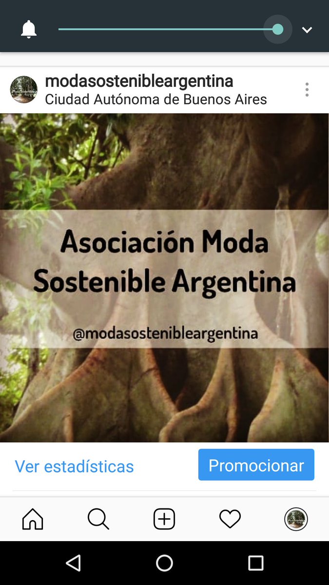 5 de Junio Día del Medio Ambiente!! Cuidemos nuestro planeta!!!