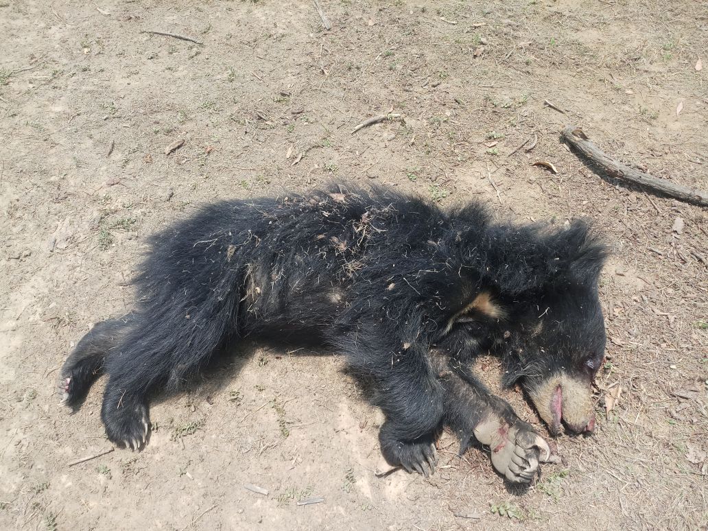 SIDD26DEC's tweet photo. @wti_org_india sir environment is in drastic situation as state government not doing any serious job for the help of wildlife please help us https://t.co/CNsJZzeW4x