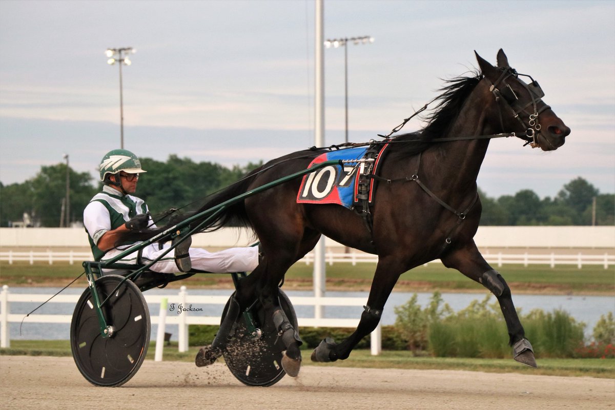 hoosiernations's tweet photo. GoodMorning @Chris_wponies @JoannKi32885615 @rebelsart @vnssa926 @jtlburn @kimberlymoier @dolenski_john @HoP_Racing @KathleenBaitzel @SadandSulk #TatymForAll #VerlinYoder #PlayHP https://t.co/BXlaUoVFHD
