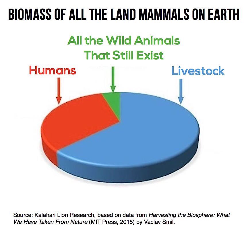 There’s little room left for wildlife in this greedy world.😔

World mammal population:
🚶‍♂️🚶‍♂️🚶‍♂️🚶‍♂️🚶‍♂️🚶‍♂️🚶‍♂️🚶‍♂️🚶‍♂️🚶‍♂️🚶‍♂️🚶‍♂️🚶‍♂️🚶‍♂️🚶‍♂️🚶‍♂️🚶‍♂️🚶‍♂️🐄🐏🐖🐂🐑🐄🐏🐖🐂🐑🐄🐏🐖🐂🐑🐄🐏🐖🐂🐑🐄🐏🐖🐂🐑🐄🐏🐖🐂🐑

🦏🦒