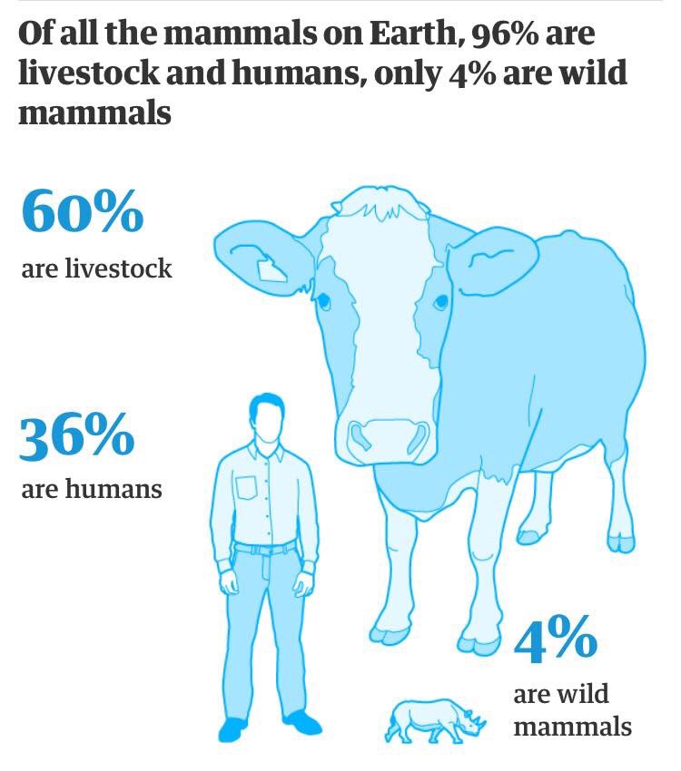 KatePow3ll's tweet photo. There’s little room left for wildlife in this greedy world.😔

World mammal population:
🚶‍♂️🚶‍♂️🚶‍♂️🚶‍♂️🚶‍♂️🚶‍♂️🚶‍♂️🚶‍♂️🚶‍♂️🚶‍♂️🚶‍♂️🚶‍♂️🚶‍♂️🚶‍♂️🚶‍♂️🚶‍♂️🚶‍♂️🚶‍♂️🐄🐏🐖🐂🐑🐄🐏🐖🐂🐑🐄🐏🐖🐂🐑🐄🐏🐖🐂🐑🐄🐏🐖🐂🐑🐄🐏🐖🐂🐑

🦏🦒 https://t.co/CgnsY8jIwV