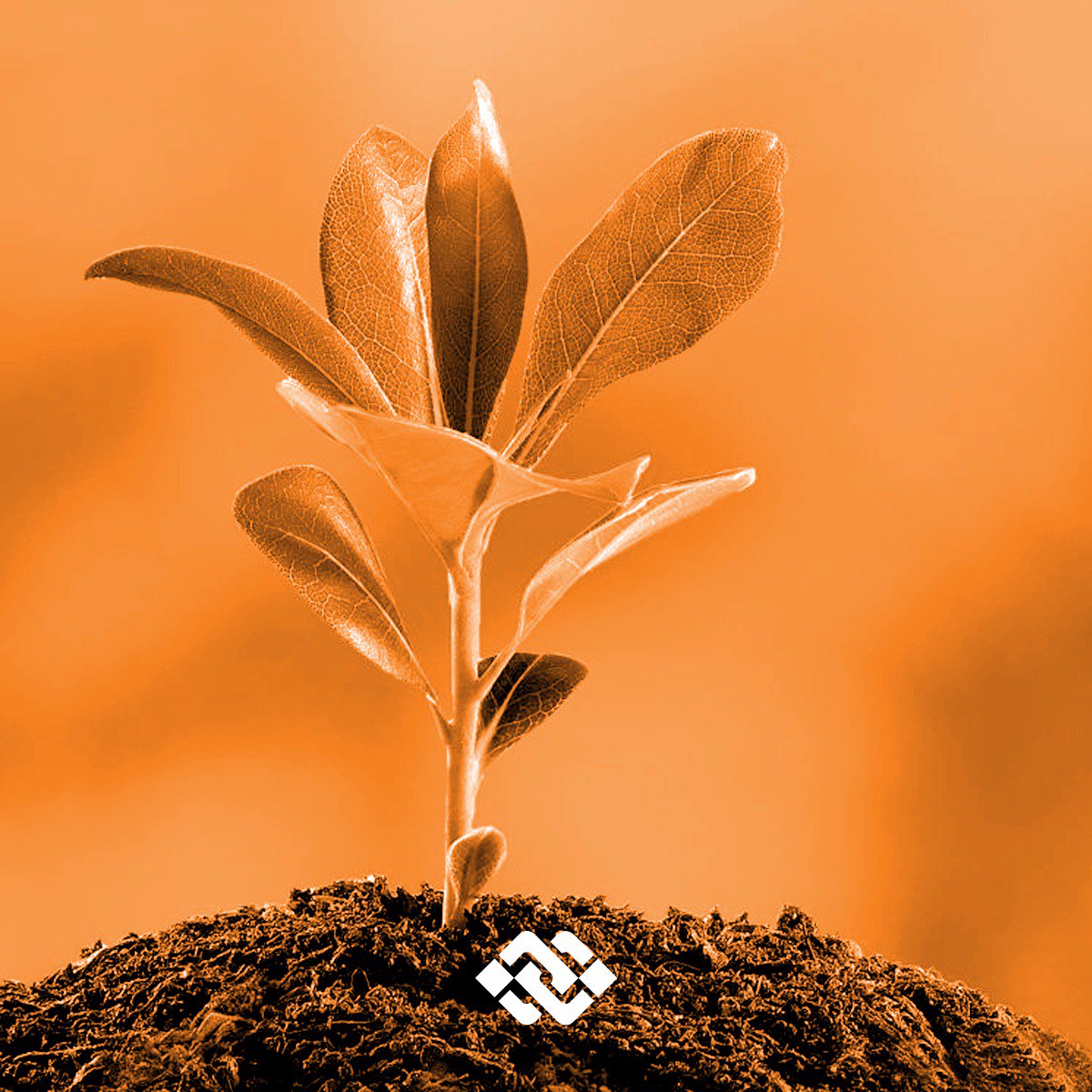 Dünya Çevre Günü'müz Kutlu Olsun! 🌱
#dünyaçevregünü #çevregünü #yeşilikoru