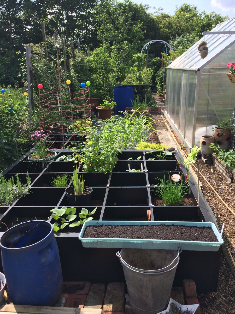 mpunkydo's tweet image. Really surprised how well everything is growing in the old ikea units and how much I have managed to squeeze in