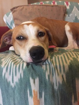 View image on Twitter