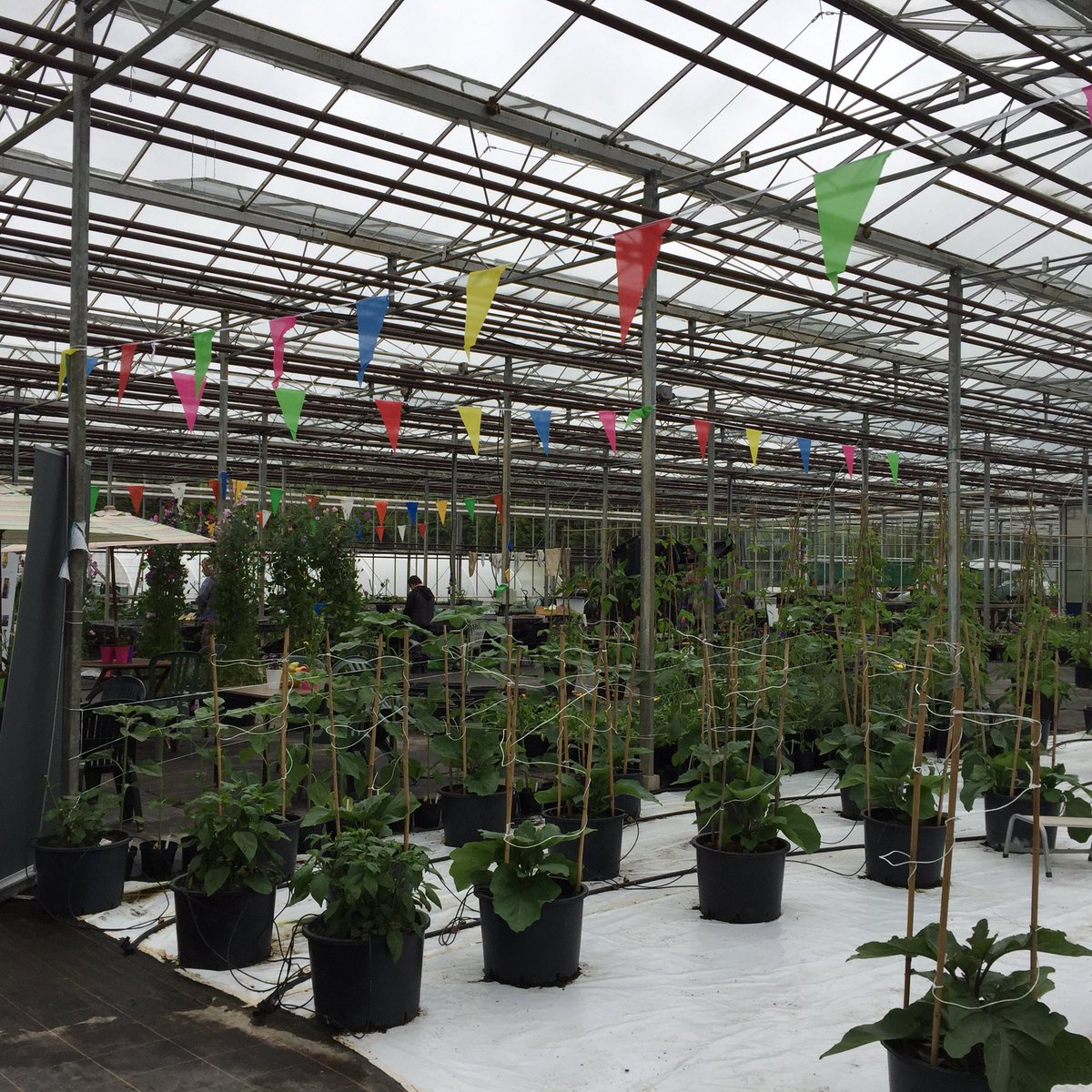 Urban Biodiversity tweet media