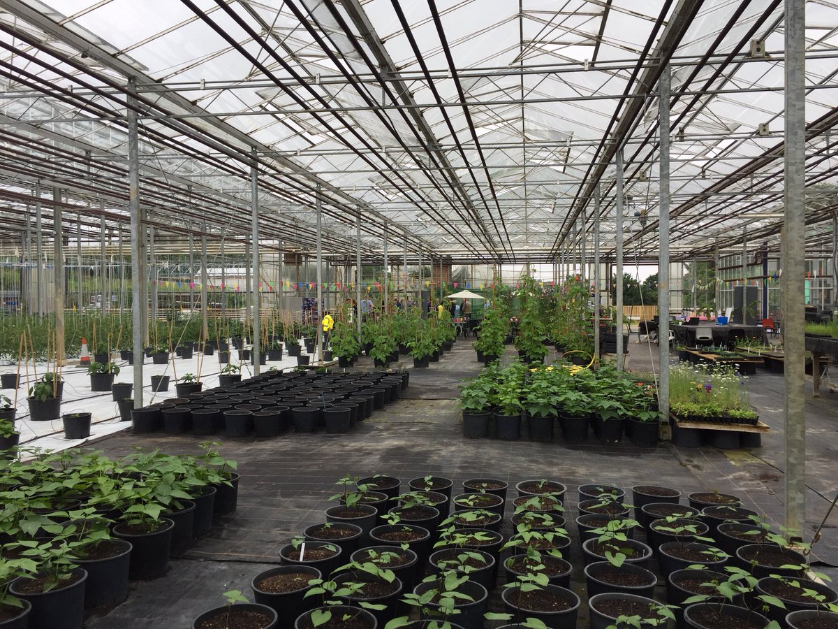 Urban Biodiversity tweet media