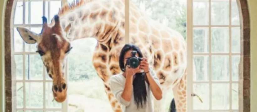 Rodolphe Vonthron tweet media