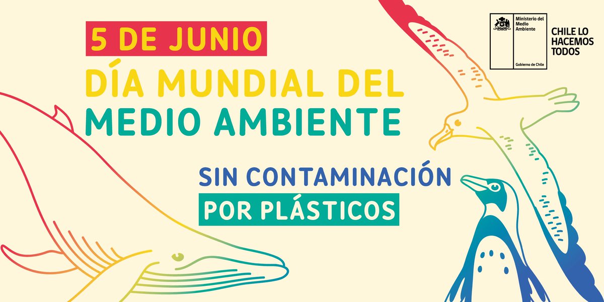 MMAChile's tweet photo. 😀 Hoy conmemoramos el #DíaMundialDelMedioAmbiente ♻️

El tema principal de este año es "sin contaminación por plástico", el cual celebramos en Chile con alegría gracias al recién aprobado proyecto de ley #ChaoBolsasPlásticas. https://t.co/3ShEBRUJYn