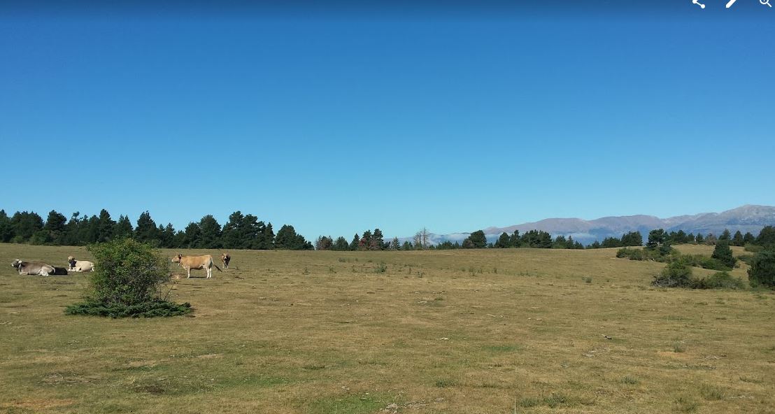 orientacio_cat's tweet photo. El 30 de juny i 1 de juliol arriben els dos dies de Fontanals de Cerdanya trofeu @KrlesLladoBadia organitzats pel @clubcoc 
https://t.co/NhqZptnkig https://t.co/yoDlC4HH69