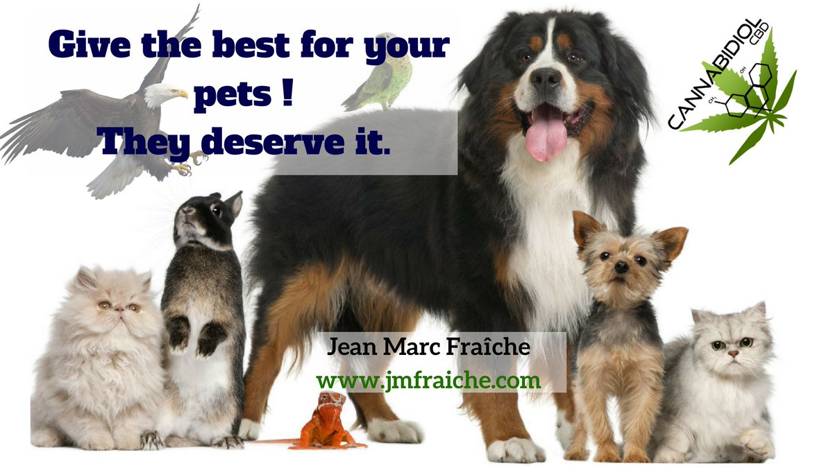 jmfraiche's tweet photo. Discover this hot trend and great opportunity.
Take a decision Right now ! https://t.co/abwtmL1cxq
#JeanMarcFraiche #MLM #Hemp #Affiliate #Droshipping #Cybercommerce https://t.co/XGepjhlw5Z