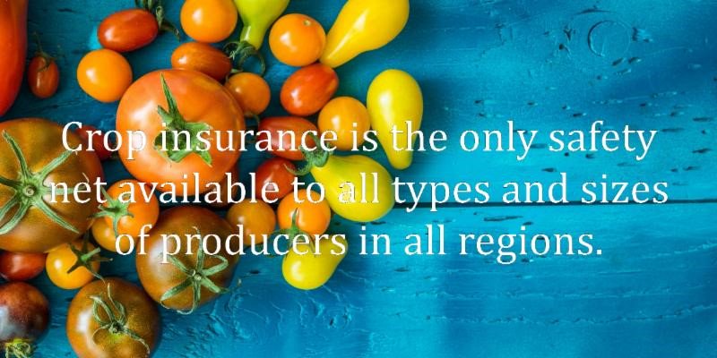 NaedaEquip's tweet photo. #CropInsurance is a risk management plan that helps producers of all sizes, in every state, covering over 100 crops. #ProtectCropInsurance in the #farmbil https://t.co/TehFMfCHI7