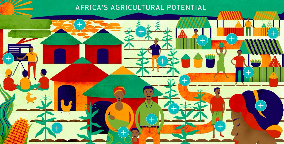 farmingfirst's tweet photo. #DYK the average African #farm performs at only about 40% of its potential, but the continent holds some of the greatest promise for the #agriculture sector. Check out our infographic to learn more: https://t.co/OKGGEQTBIs #Africa #farming @IFADnews #WorldEnvironmentDay https://t.co/Yq1SHoYXSa