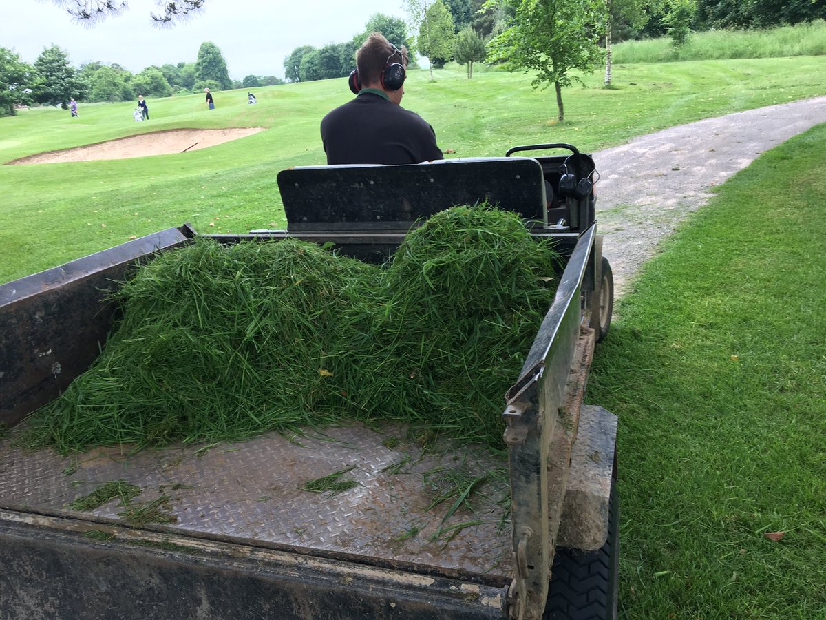 MarkSim93794378's tweet photo. Bank surrounding 9th green strimmed, collected & sprayed using rescue & seaweed #roughmanagement #finergrassencouraged #greenkeeping @KingsdownGC https://t.co/FphDGpc6RI