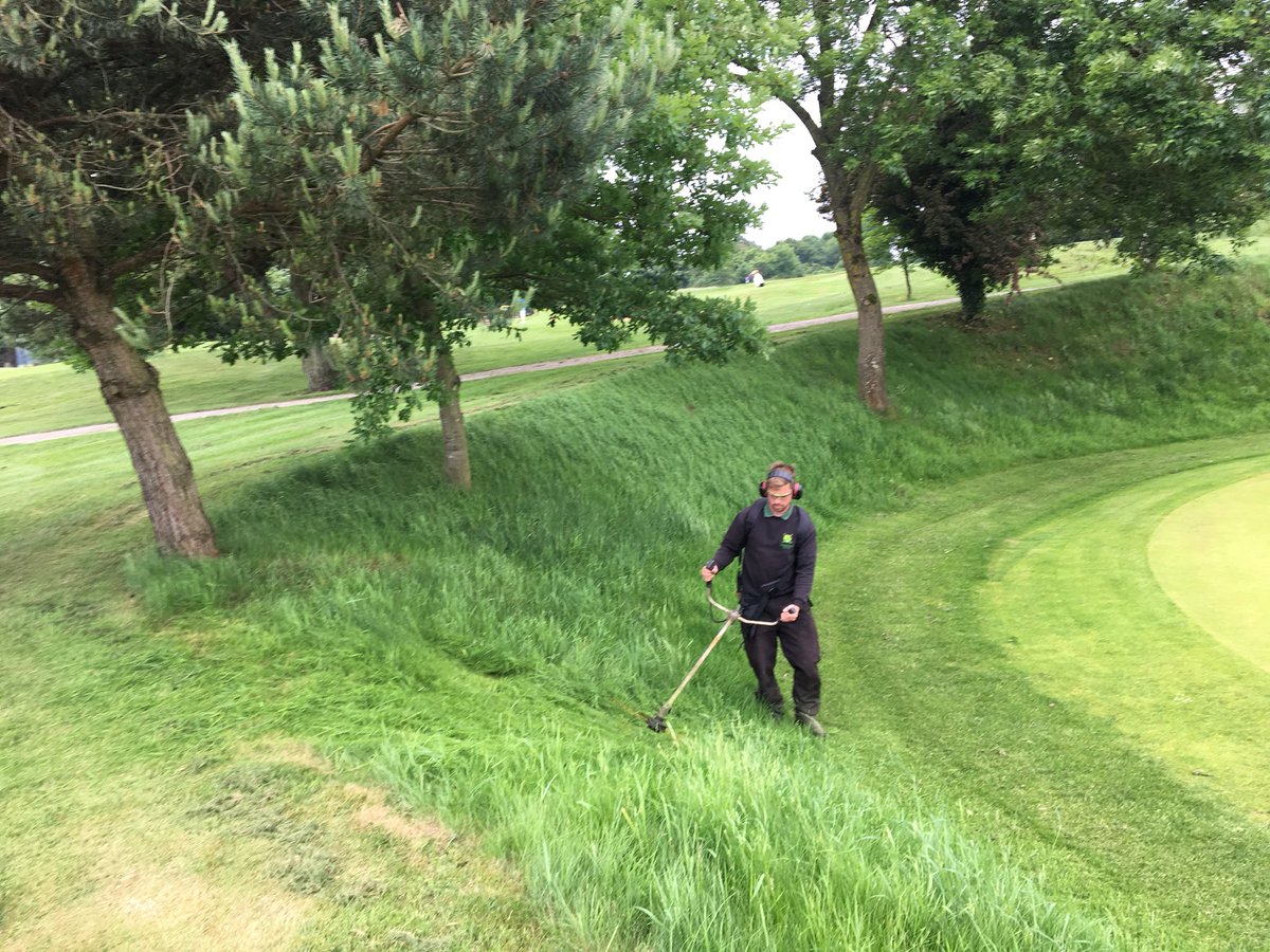 MarkSim93794378's tweet photo. Bank surrounding 9th green strimmed, collected & sprayed using rescue & seaweed #roughmanagement #finergrassencouraged #greenkeeping @KingsdownGC https://t.co/FphDGpc6RI
