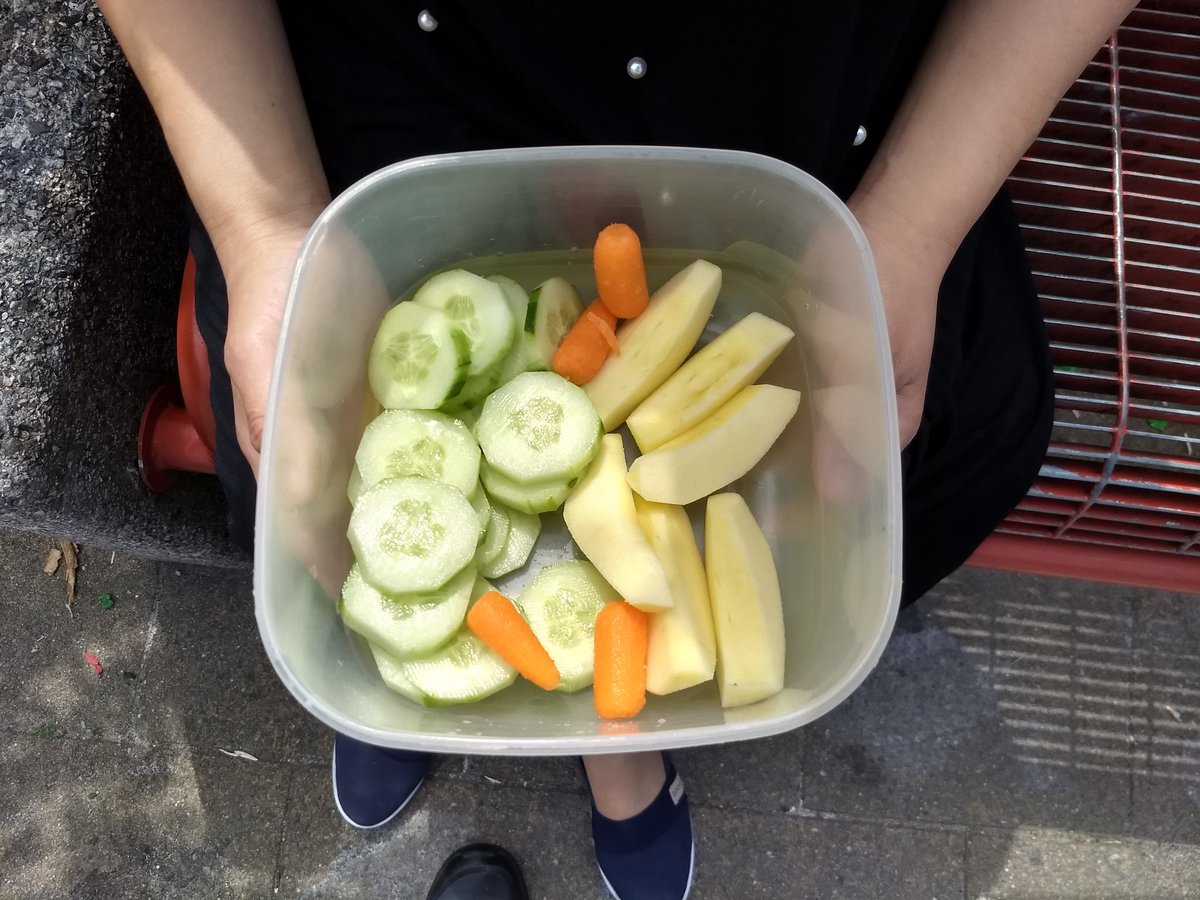 Vandaag geen ijsjes voor de kinderen, maar groente en fruit wordt er uitgedeeld door een moeder in de Rijnesteinhof!
