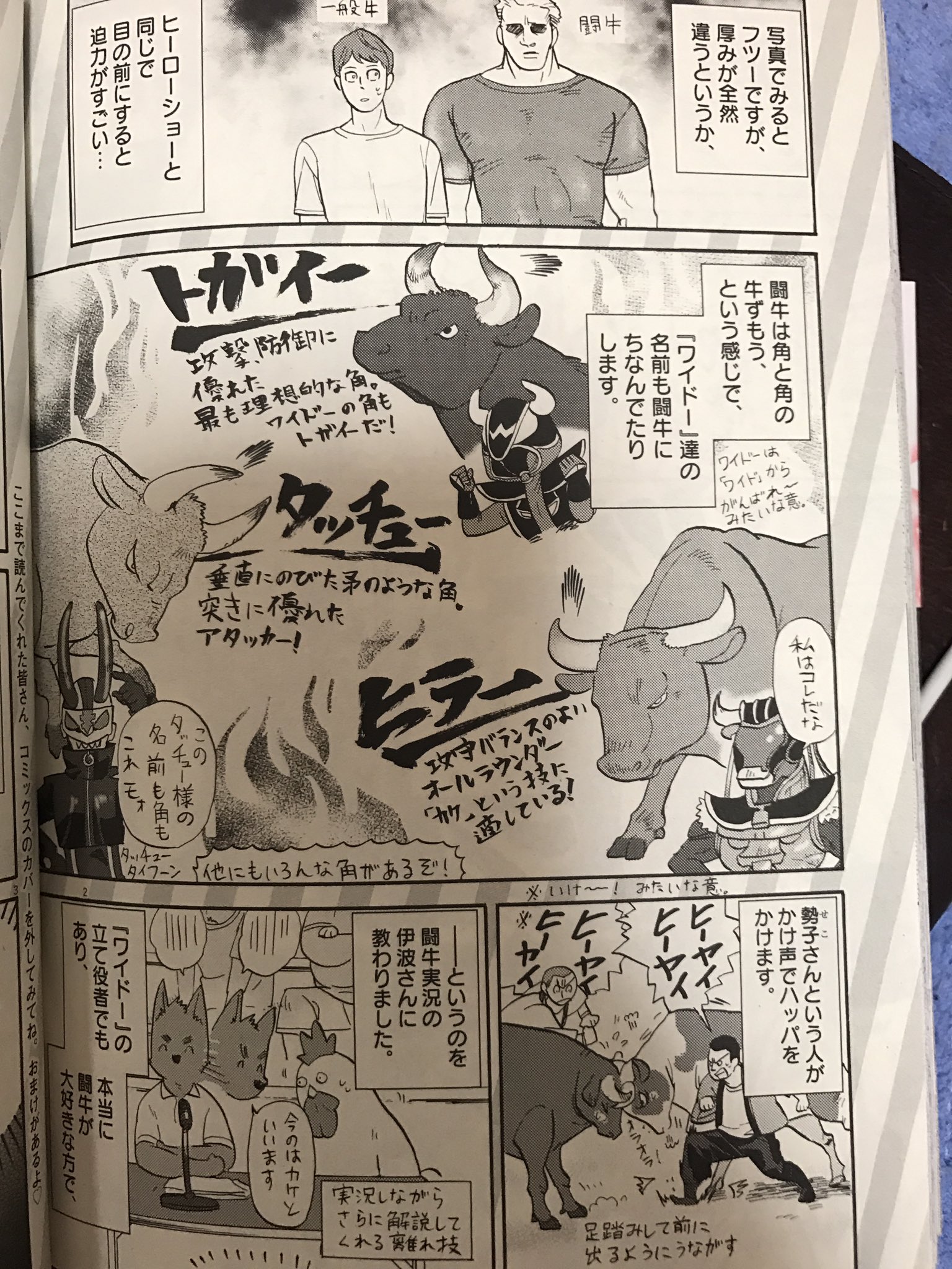 闘牛戦士ワイドー 闘牛戦士ワイドーのコスチュームデザインをしてくれた丹羽 庭先生の漫画 トクサツガガガ の新刊13巻が発売されました なんと なんと あとがきでワイドーを紹介してくれてます 丹羽先生ありがとうございます また是非闘牛観戦に来