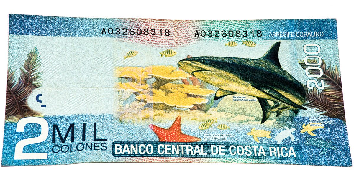 iForex_com's tweet image. ¡Felicitaciones! Ha calificado para recibir un Kit de Trading de Forex. Haga clic aquí para recibir su regalo. bit.ly/2Ksh7L2