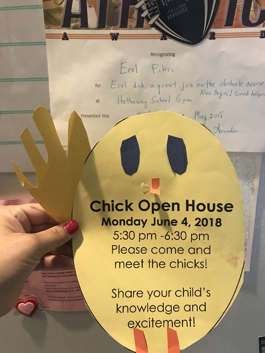 fikriam's tweet photo. 1st grade Chick Night! #happyhathaway @HathawaySchool https://t.co/dcvXfAEqRy