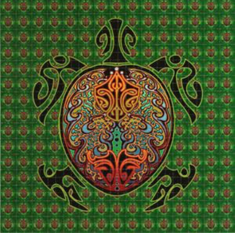 staci_SSS's tweet photo. Happy Terrapin Tuesday Deadheads 🐢🎶✨! #strangersstoppingstrangers #deadheads #terrapintuesday https://t.co/hmPMhyB31p