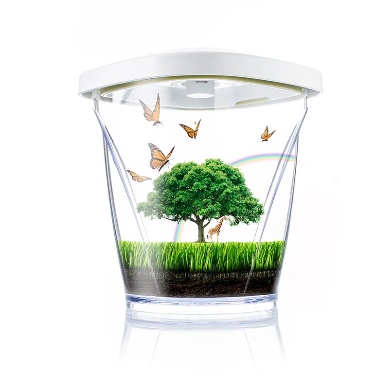 It's World Environment day! Let's all take a moment to realize we've only got one planet and that we should cherish it 🌎❤ #tomorrowskitchen #worldenvironmentday #savetheworld